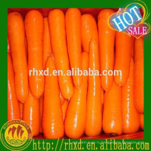Китайский свежий морковь низкую цену на экспорт